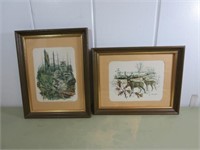 Pair of Framed Wildlife Prints, Each 14" x 11"