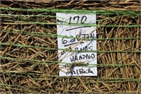 Hay-Wrapped-Rounds-2nd-11 Bales