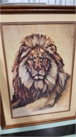 Framed lion print