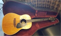 Applause guitar with hard case