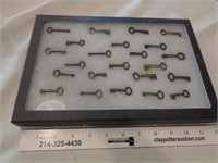 Collection of Skeleton Keys in Case