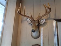 Wall Mount Deer Head Decor