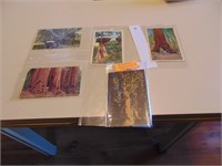 5 Postcards- Famous trees