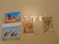 4 Postcards Egypt, Sphinx, Camels