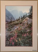 Framed Photograph - Mountain Scene