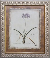 Framed Floral Art by Pierre-Joseph Redouté