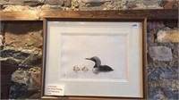 Arctic loon dry point etching Carl Stevenson