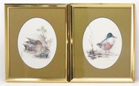 Pair Oval Watercolor Framed Duck Prints