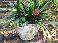 PR CONCRETE GARDEN POTS