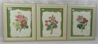 Three pieces of Botanical flower artwork, 14
