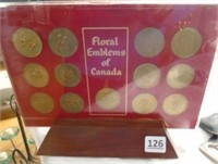 Coin Collection in Display