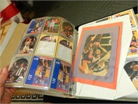EARLY 1990'S NBA BASKETBALL TRADING CARDS, BABE
