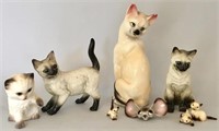 Group of Siamese Cats and One Mouse Head