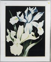Lowell Nesbitt, "Two White Irises On Black"