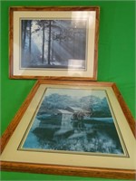 Two Gorgeous Framed Prints