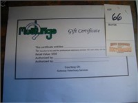 Gift Certificate for Professional Services,