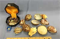 Lot of 10 shells, some are carved, some are boxes,