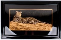 Art Andrew Bone L/E Print On the Sand Bank Leopard