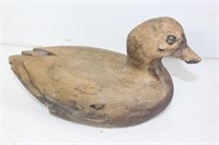Very old duck