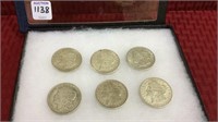 Collection of 6-1921 Morgan Silver Dollars