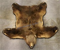 Trophy Alaskan Kodiak Grizzly Bear Rug EXCEPTIONAL