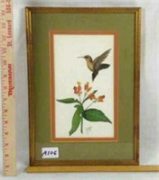 Print of a hummingbird