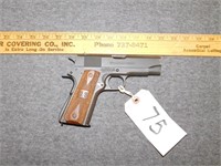 Springfield Armory Champion .45 Pistol