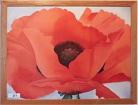 Red Poppy Framed Print