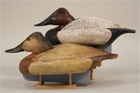 Rigmate Pair of Canvasback Drake & Hen Duck