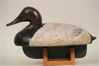 Ferdinand Bach Detroit Mi, Early Canvasback Drake