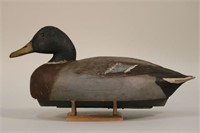 Ben Schmidt Centerline Mi, Mallard Drake Duck