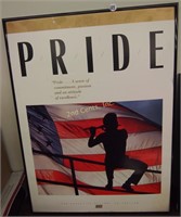 American Pride Framed Picture