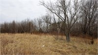 2 Acres Zoned Rural Agricultural/Rural Residential
