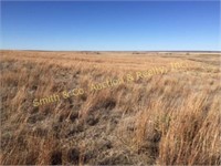 SELLING 160 ACRES OF NATIVE GRASS