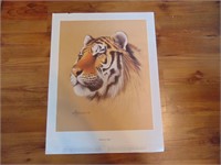 1987 Print Siberian Tiger - Killiman Zoo