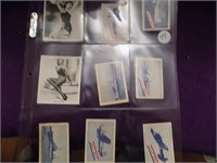 2 Pages of Vintage cigarette Cards