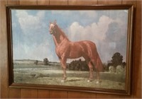 Horse Picture