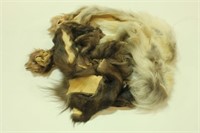 Fur Scraps