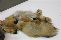 Red Fox Fur