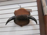 Buffalo horn mount