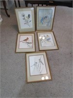 5 framed bird prints