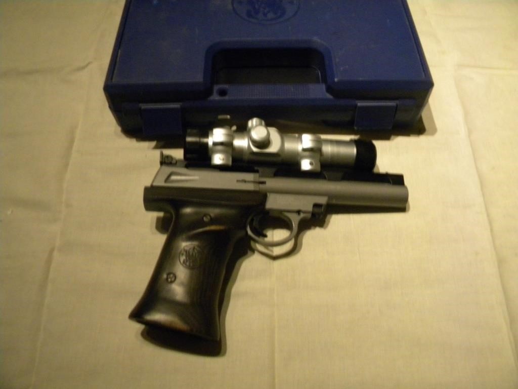 gun auction 2-25