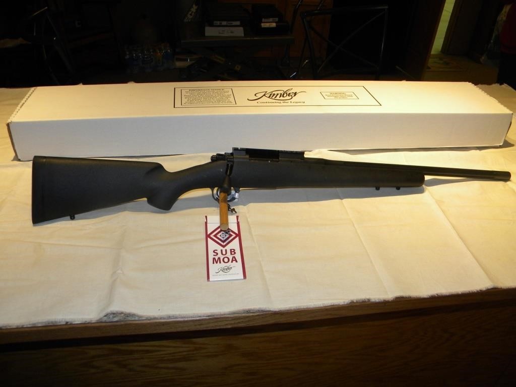 gun auction 2-25