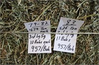 Hay-Lg. Squares-3rd-10 Bales