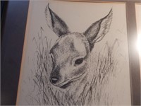 Framed Prints - Animal Sketches