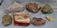 Petrified, Pyrite & Mineral Rocks Sample