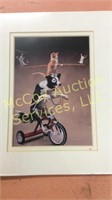 Portal matted print " Dog on Tricycle"