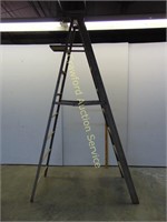 Folding Ladder