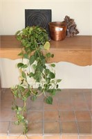 Copper Pot, Plant on Plate and