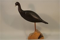 Beautiful Hand Carved & Painted Hen Turkey on